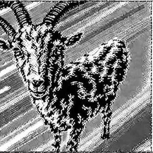 The 852-BTC Signal You're Misreading The 852-BTC Signal You're Misreading