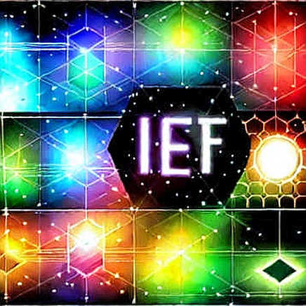 The Liquidity Phantom: Why ETF Inflows Are Not the Signal You Think