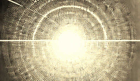 The Solana Paradox: 5.2 Billion Transactions, 87% Less Revenue, and the Death of the Fee