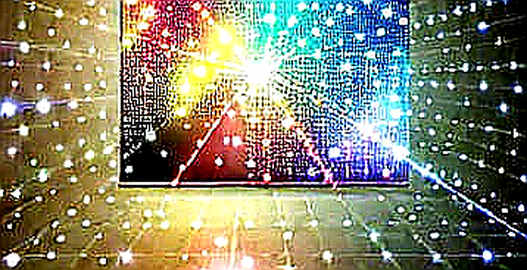The Chip Combinator: Why Callosum's Silence Speaks Volumes About AI's Governance Gap