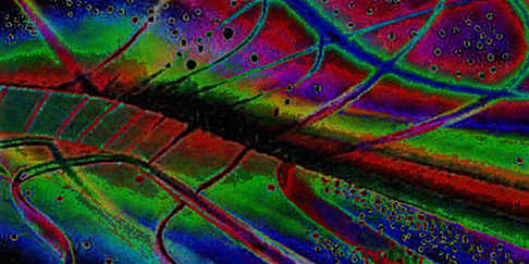 The Fed's Data Trap: Why Weak Retail Sales Don't Guarantee a Crypto Bull Run (Yet)