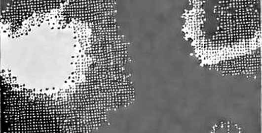 AI Bubble, Broken Axioms, and the Bitcoin Liquidity Play AI Bubble, Broken Axioms, and the Bitcoin Liquidity Play
